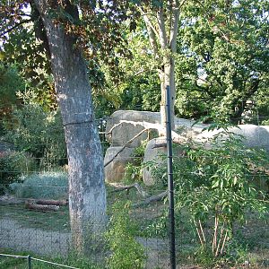 Cheetah enclosure at the Etosha House at Basel Zoo 30/08/09
