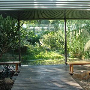 Cheetah viewing at Basel Zoo 30/08/09