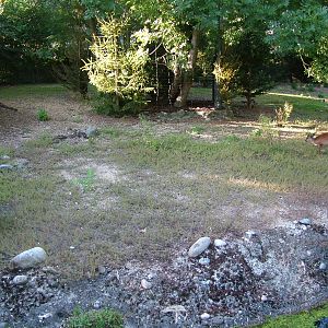 Natal Red Duiker enclosure at Basel Zoo 30/08/09