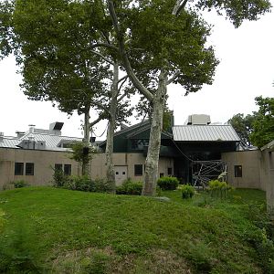 Orang/Gibbon exhibit