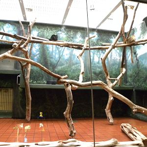 Rare Animal Conservation Center