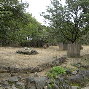 Zebra/White Rhino Exhibit