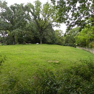 Gazelle/Addax/Stork/Crane exhibit
