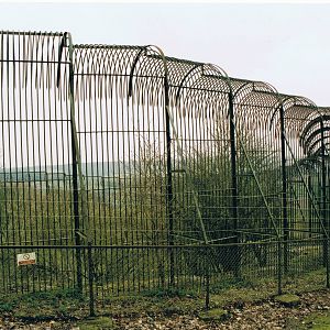 Tiger Dell @ Whipsnade; 15.03.04