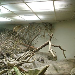 Viscacha and Owl exhibit in the Exotarium at Zurich 31/08/09