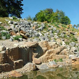 African Mountain exhibit at Zurich 31/08/09