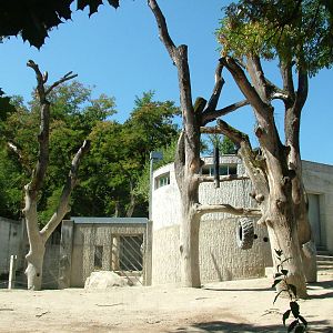 Elephant House and paddock at Zurich 31/08/09