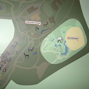 Elephant House plans at Zurich 31/08/09