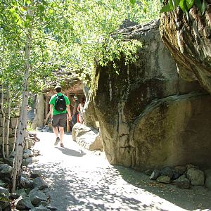 Himalayan area at Zurich 31/08/09