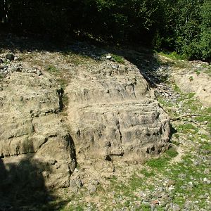 Snow Leopard enclosure at Zurich 31/08/09