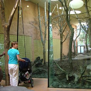 Lion House at Zurich 31/08/09