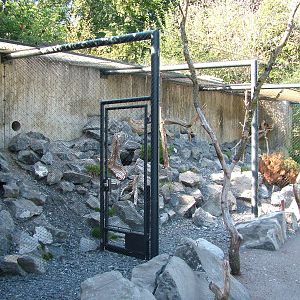 Pallas Cat enclosure at Zurich 31/08/09