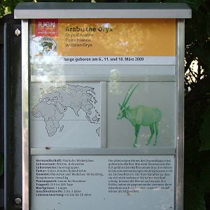 Signage example at Zurich 31/08/09