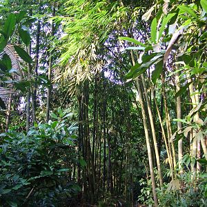 Masoala Rainforest at Zurich 31/08/09