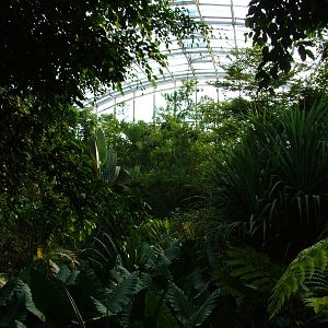 Masoala Rainforest at Zurich 31/08/09