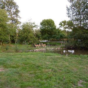 2-Acre Guanaco/Rhea/Flamingo/Swan Enclosure