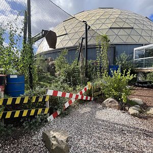 Jaguar Exhibit #1 - side view