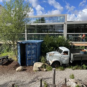 Jaguar Exhibit #1 - visitor area