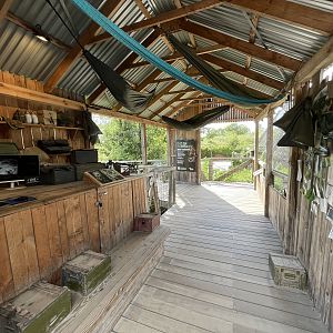 Bushmaster Camp (no animals)