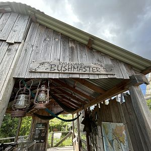 Bushmaster Camp (no animals)