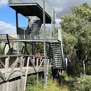 Jaguar Exhibit Overlook