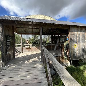 Bushmaster Camp (no animals)