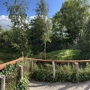 Spotted Hyena Exhibit #1