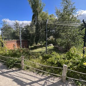 Spotted Hyena Exhibit #2