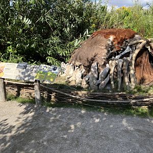 Leopard Tortoise Exhibit