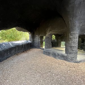 Spotted Hyena Exhibit - den view