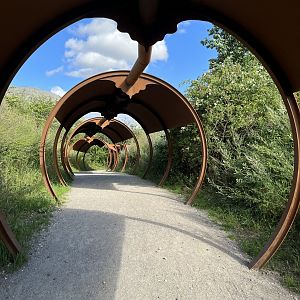 Green Anaconda Sculpture