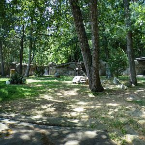 Aug. 2022 - Africa - Gorilla Exhibit Panorama