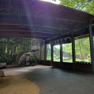 Aug. 2022 - Africa - Gorilla Exhibit (Second Viewing)