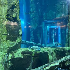 Isle Royale - Tank #3