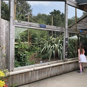 Black Curassow Enclosure at Lakeland Wildlife Oasis (2020)