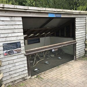 Degu Enclosure at Lakeland Wildlife Oasis (2020)