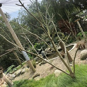 African Drylands Aviary at Lakeland Wildlife Oasis (2020)