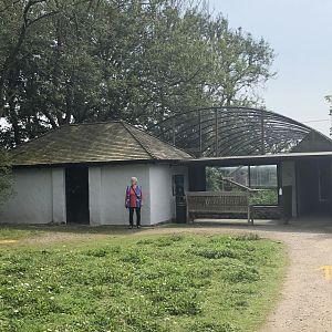 Snow Leopard Enclosure at Lakeland Wildlife Oasis (2020)