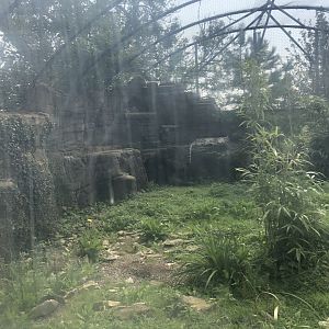 Snow Leopard Enclosure at Lakeland Wildlife Oasis (2020)