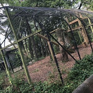 Snow Leopard Enclosure at Lakeland Wildlife Oasis (2020)