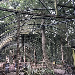 Lemur Enclosure at Lakeland Wildlife Oasis (2020)