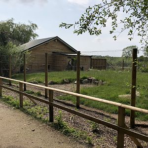 Kirk's Dik-Dik Enclosure at Lakeland Wildlife Oasis (2020)