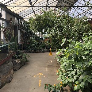 General View of the Tropical House at Lakeland Wildlife Oasis (2020)
