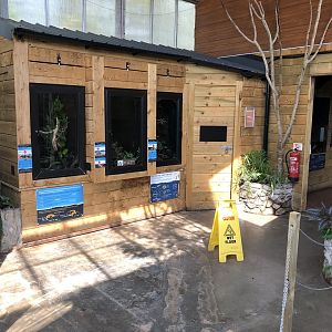 Reptile and Amphibian Exhibits at Lakeland Wildlife Oasis (2020)