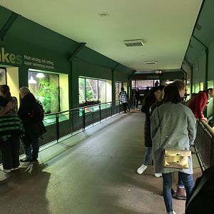 General View of Reptile House at London Zoo (2019)