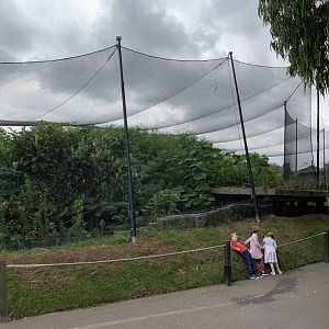 African Bird Walkthrough Aviary at London Zoo (2019)