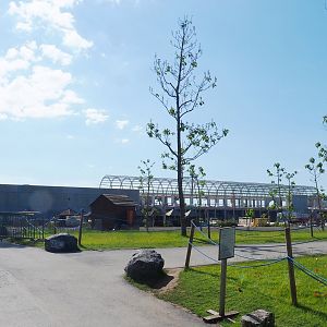 Construction of new main entrance, 2022-06-28