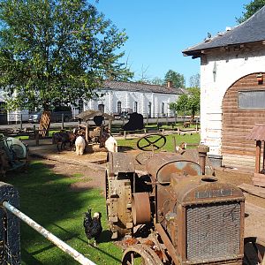 Petting zoo, 2022-06-28