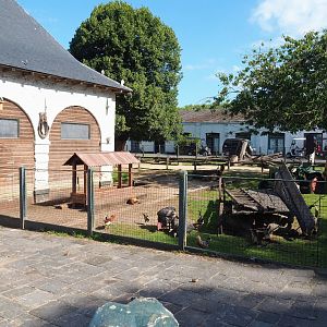 Petting zoo, 2022-06-28