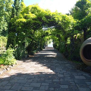 Andalusian garden, 2022-06-28